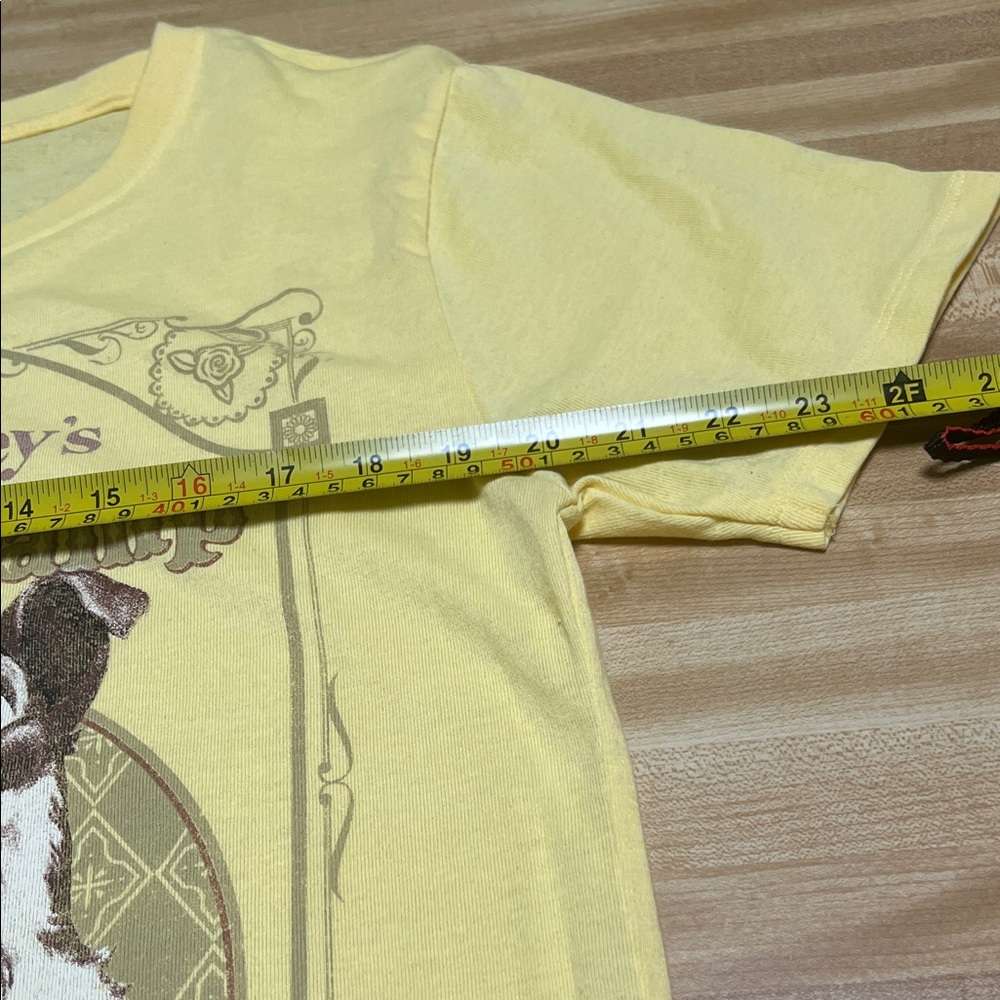 #041= Lady and the Tramp Small/ T-Shirt. Walt Disney. - Picture 4 of 8